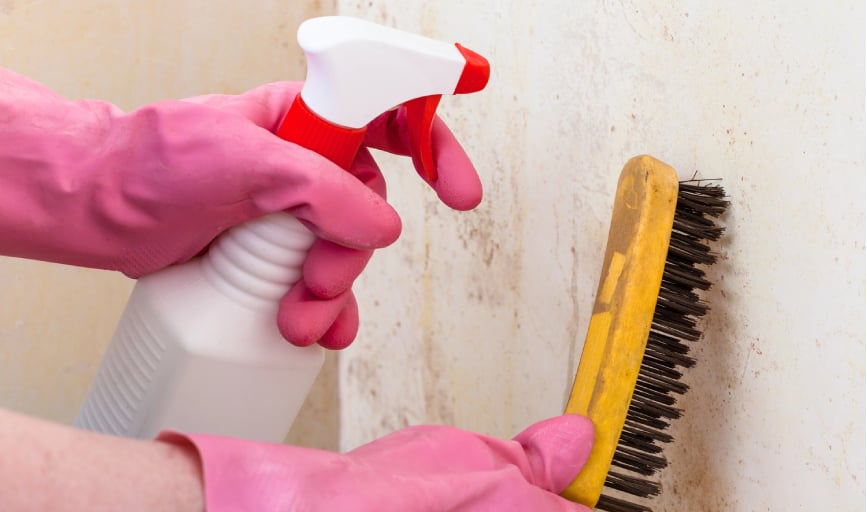 Deep Cleaning
